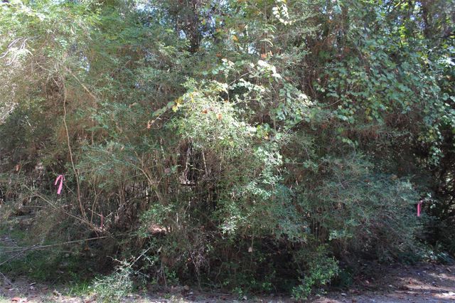 TBD 0magnolia, Trinity, TX 75862