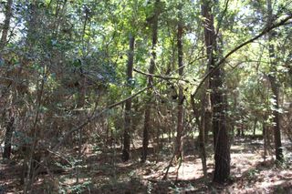 TBD 0magnolia, Trinity, TX 75862