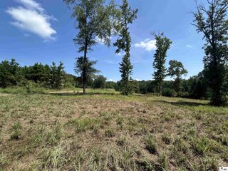 000 COVE ROAD, Farmerville, LA 71241