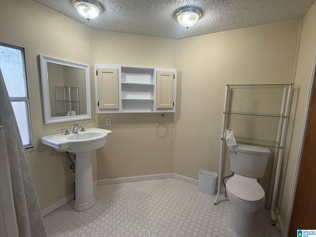 6839 BURCHFIELD LOOP, Mccalla, AL 35111