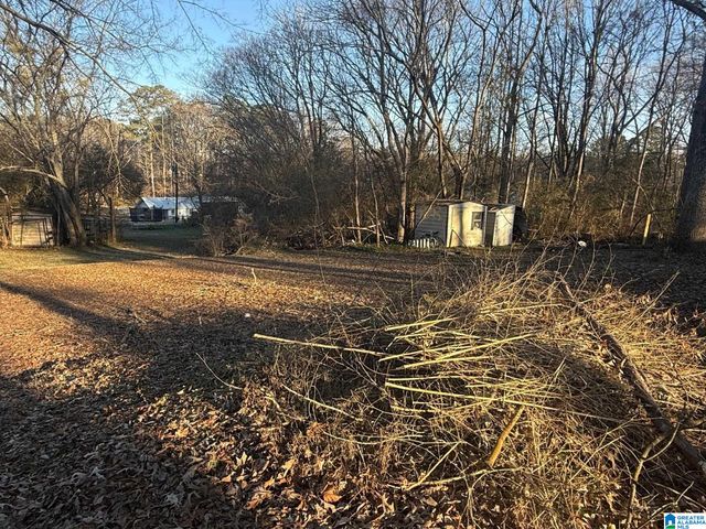 6839 BURCHFIELD LOOP, Mccalla, AL 35111