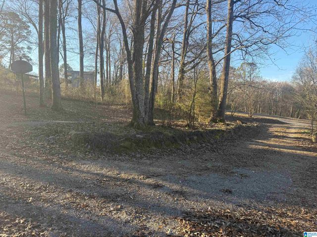 6839 BURCHFIELD LOOP, Mccalla, AL 35111