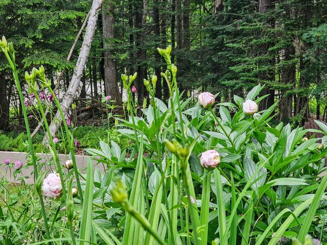 60 East Brook Crossing, Wilmington, VT 05363