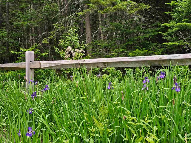 60 East Brook Crossing, Wilmington, VT 05363