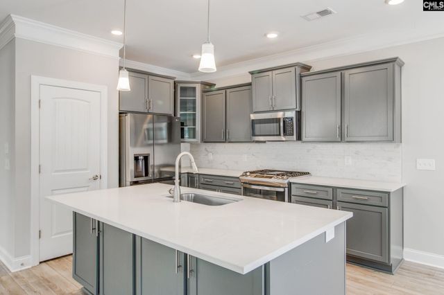 247 LAURELBROOK Drive, Chapin, SC 29036