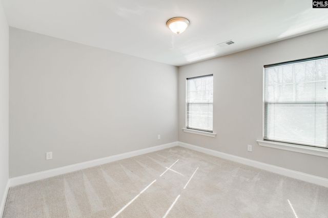 247 LAURELBROOK Drive, Chapin, SC 29036