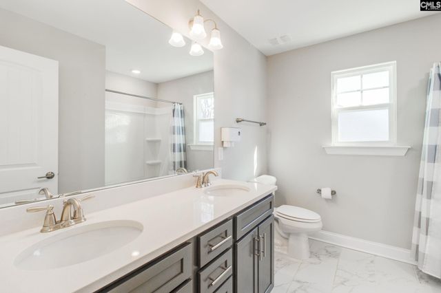 247 LAURELBROOK Drive, Chapin, SC 29036