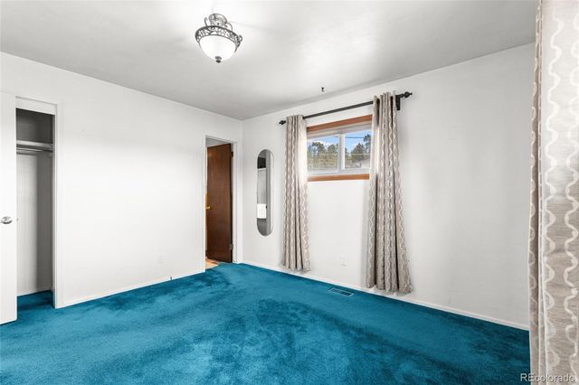 332 Mount Princeton Drive, Leadville, CO 80461