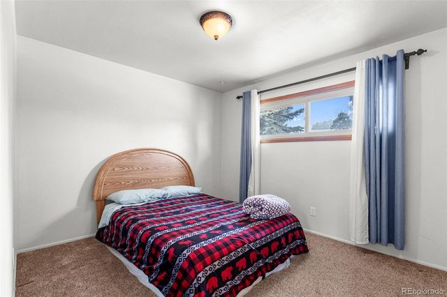 332 Mount Princeton Drive, Leadville, CO 80461