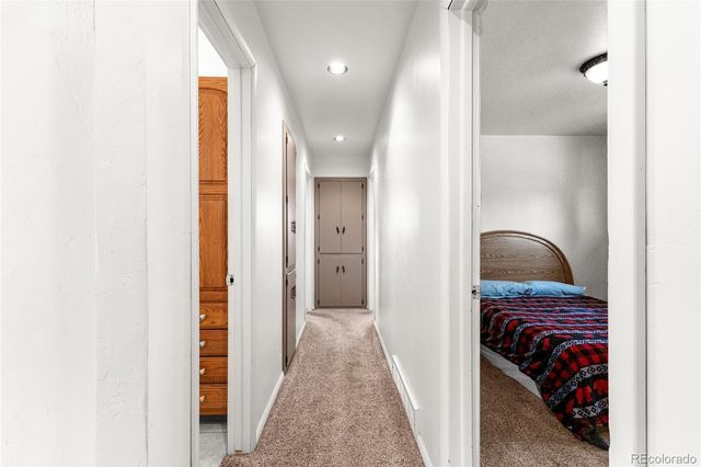 332 Mount Princeton Drive, Leadville, CO 80461