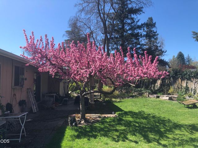 1621 Gayety Lane, Medford, OR 97504