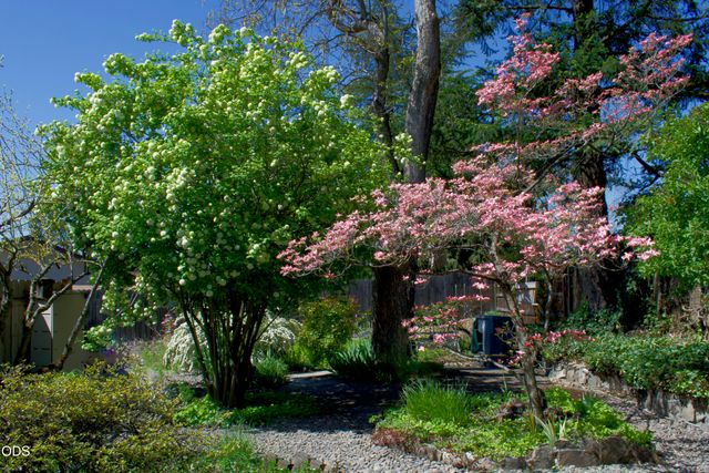 1621 Gayety Lane, Medford, OR 97504