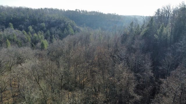 10 Bird Song Trail, Zoe, KY 41397