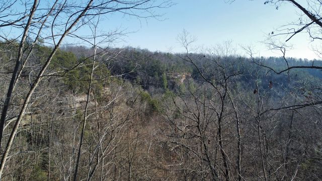 10 Bird Song Trail, Zoe, KY 41397