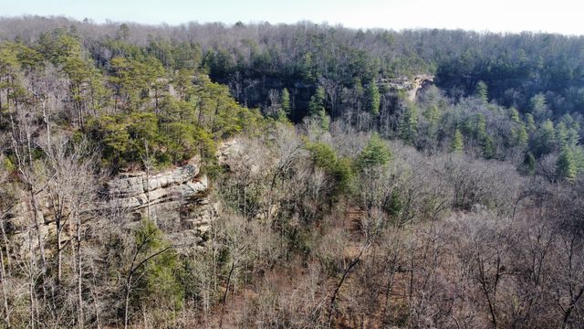 10 Bird Song Trail, Zoe, KY 41397