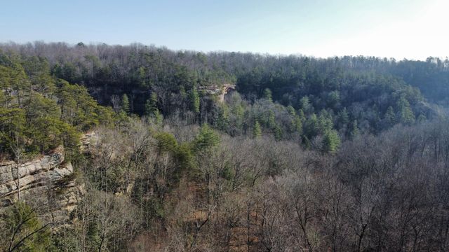 10 Bird Song Trail, Zoe, KY 41397