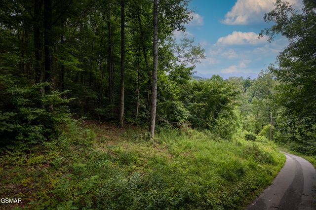 Lot 2 Verless Ogle, Sevierville, TN 37876