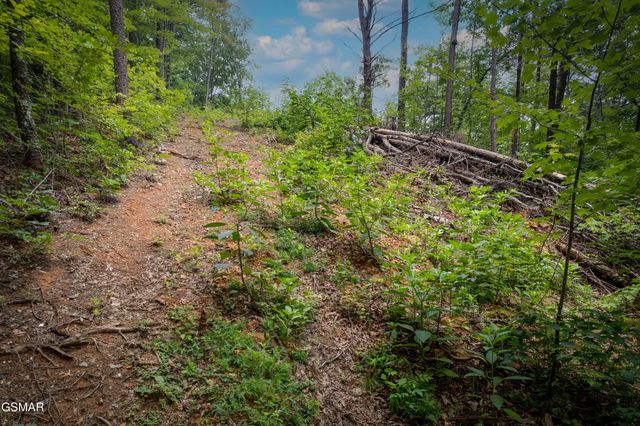 Lot 2 Verless Ogle, Sevierville, TN 37876