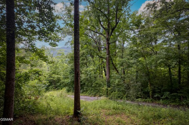 Lot 2 Verless Ogle, Sevierville, TN 37876