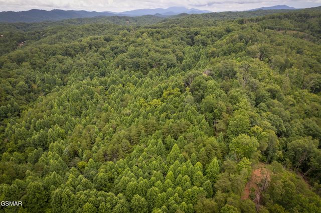 Lot 2 Verless Ogle, Sevierville, TN 37876