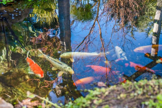 12170 Calle Uvas, Gilroy, CA 95020