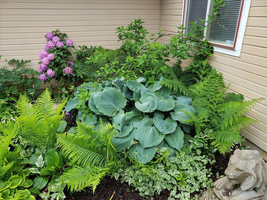 12912 E Gibbs Rd, Mica, WA 99023 photo 35