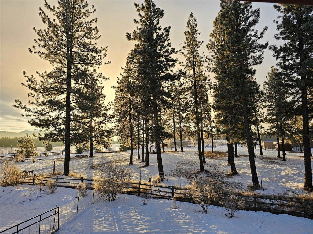 12912 E Gibbs Rd, Mica, WA 99023 photo 38