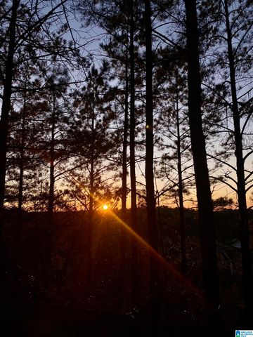 5743 COLONY LANE, Hoover, AL 35226