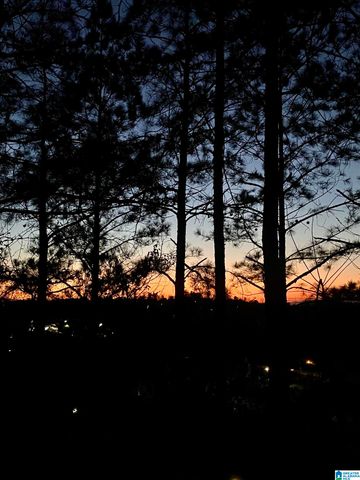 5743 COLONY LANE, Hoover, AL 35226