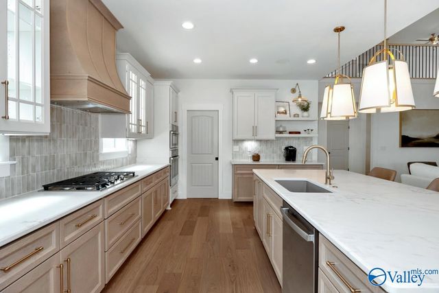 161 Grand Springs Court, Madison, AL 35756