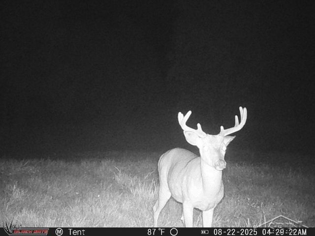 247 N Five Mile Road, Midland, MI 48640