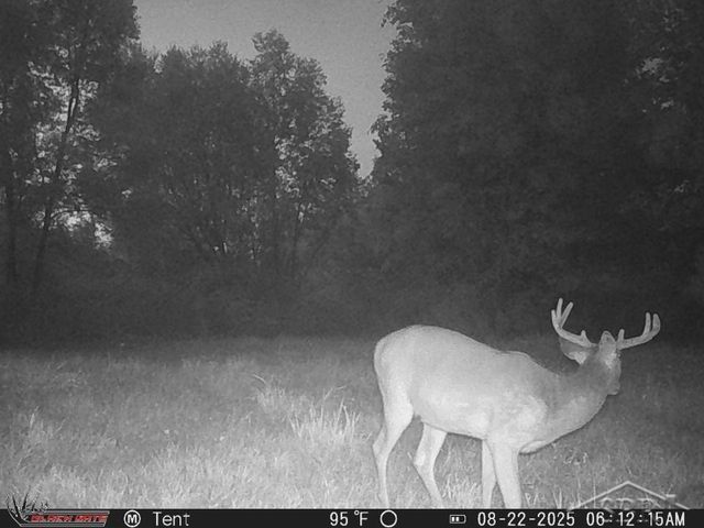 247 N Five Mile Road, Midland, MI 48640