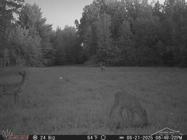 247 N Five Mile Road, Midland, MI 48640