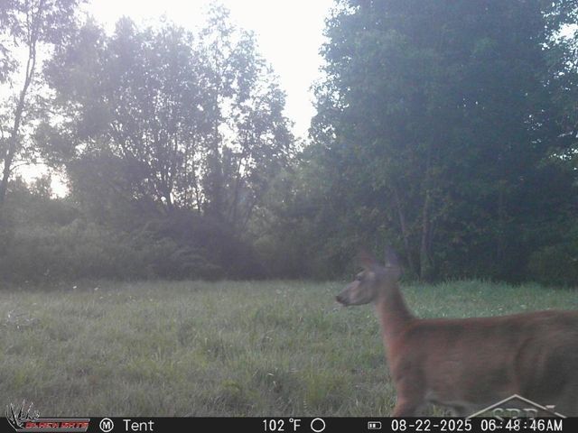 247 N Five Mile Road, Midland, MI 48640