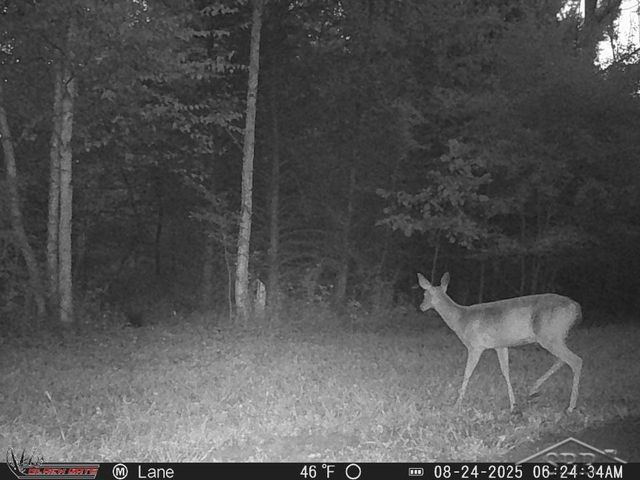 247 N Five Mile Road, Midland, MI 48640