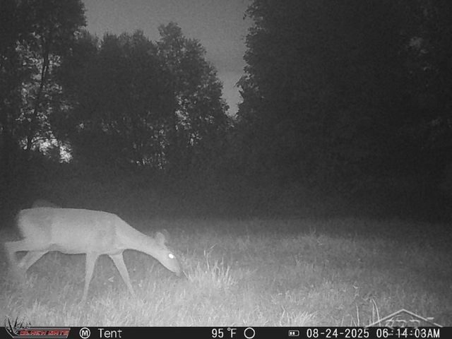 247 N Five Mile Road, Midland, MI 48640