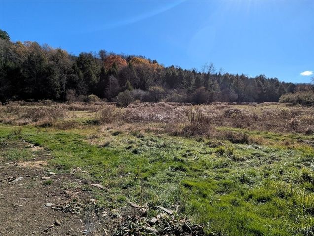 3829 Fords Brook South, Willing, NY 14895