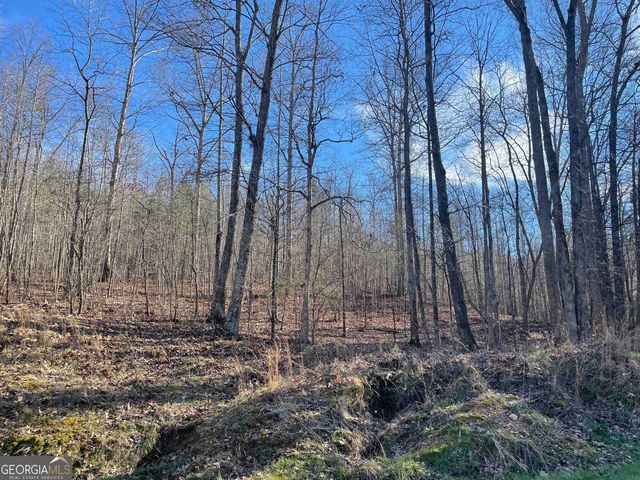 0 Rockfence Road, Adairsville, GA 30103
