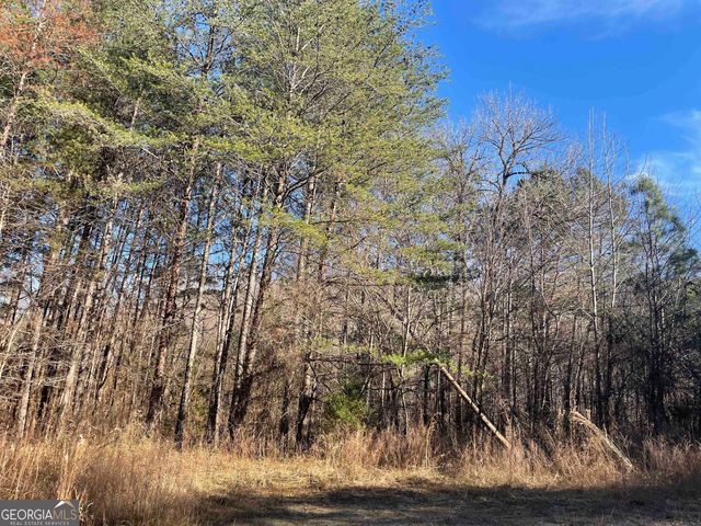 0 Rockfence Road, Adairsville, GA 30103