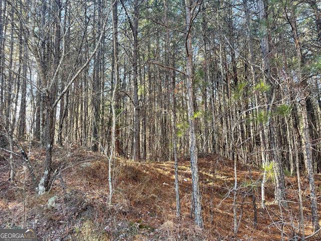 0 Rockfence Road, Adairsville, GA 30103