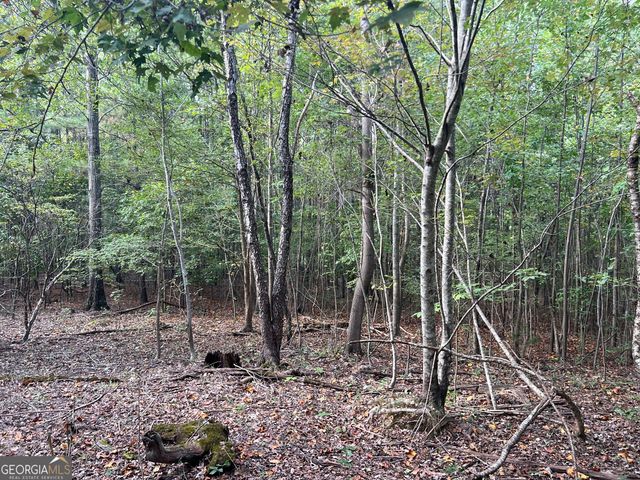 0 Rockfence Road, Adairsville, GA 30103