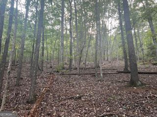 0 Rockfence Road, Adairsville, GA 30103