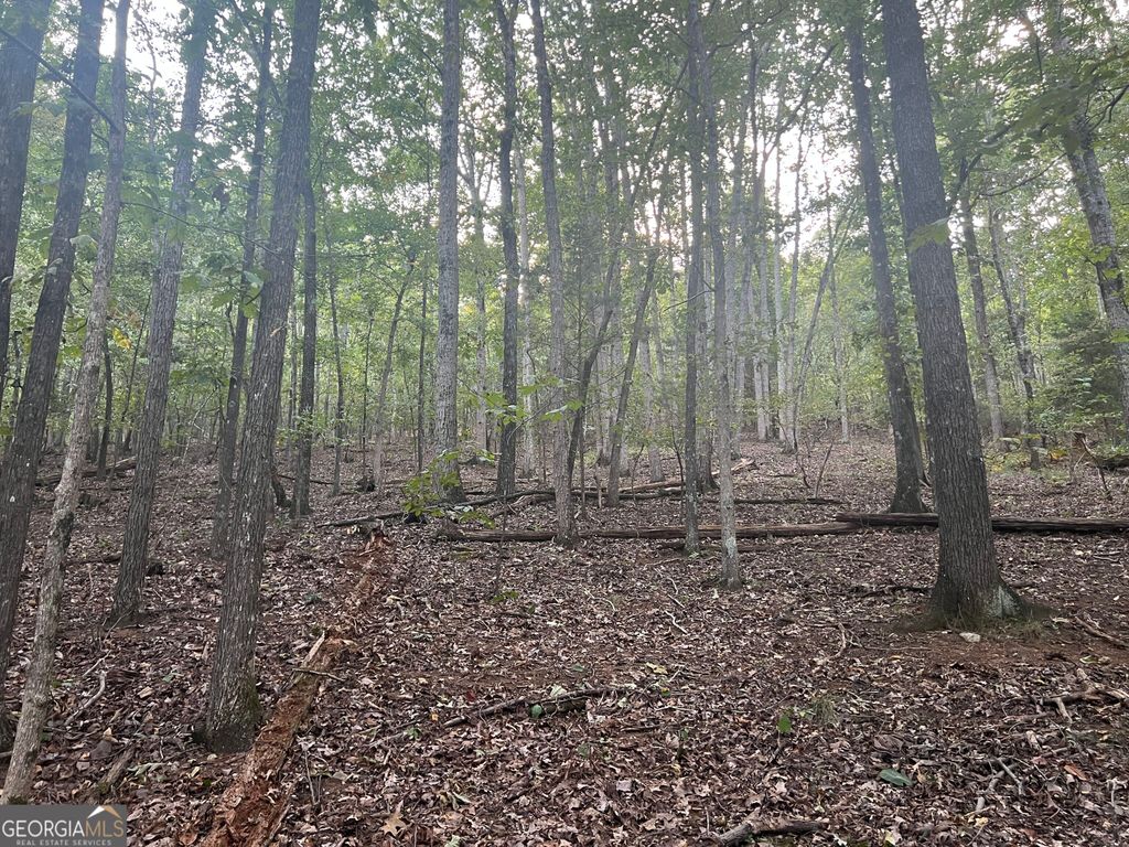 0 Rockfence Road, Adairsville, GA 30103