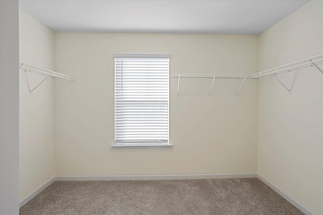 4140 Bentwood Cove Drive, Apison, TN 37302