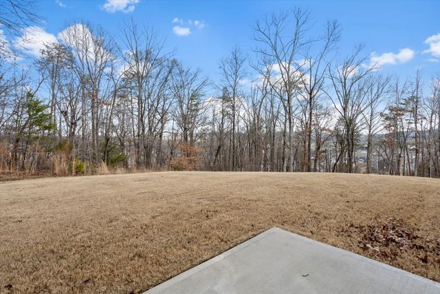 4140 Bentwood Cove Drive, Apison, TN 37302