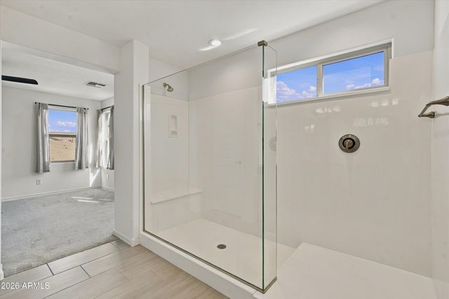 14113 W HACKAMORE Drive, Surprise, AZ 85387