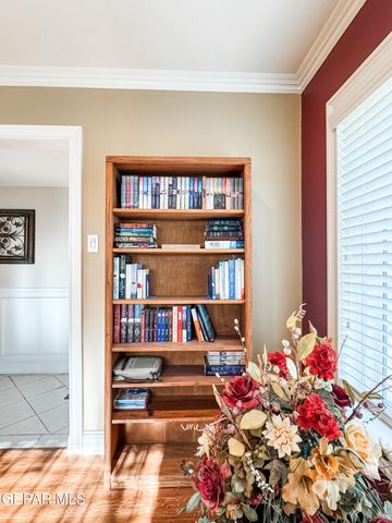 16100 SOCORRO Road, Fabens, TX 79838