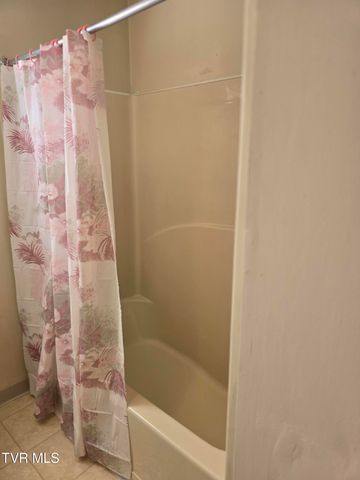 1308 East Chilhowie Avenue, Johnson City, TN 37601