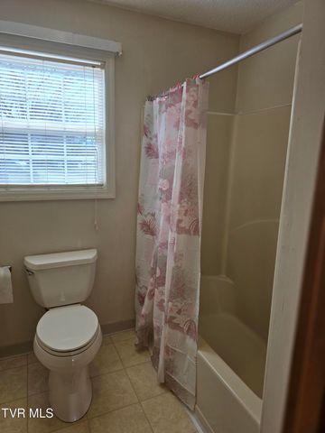 1308 East Chilhowie Avenue, Johnson City, TN 37601