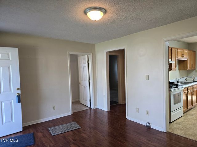 1308 East Chilhowie Avenue, Johnson City, TN 37601